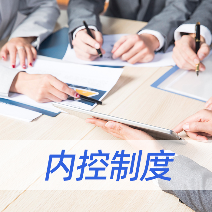 内控制度