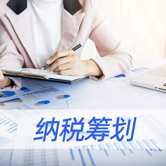 纳税筹划